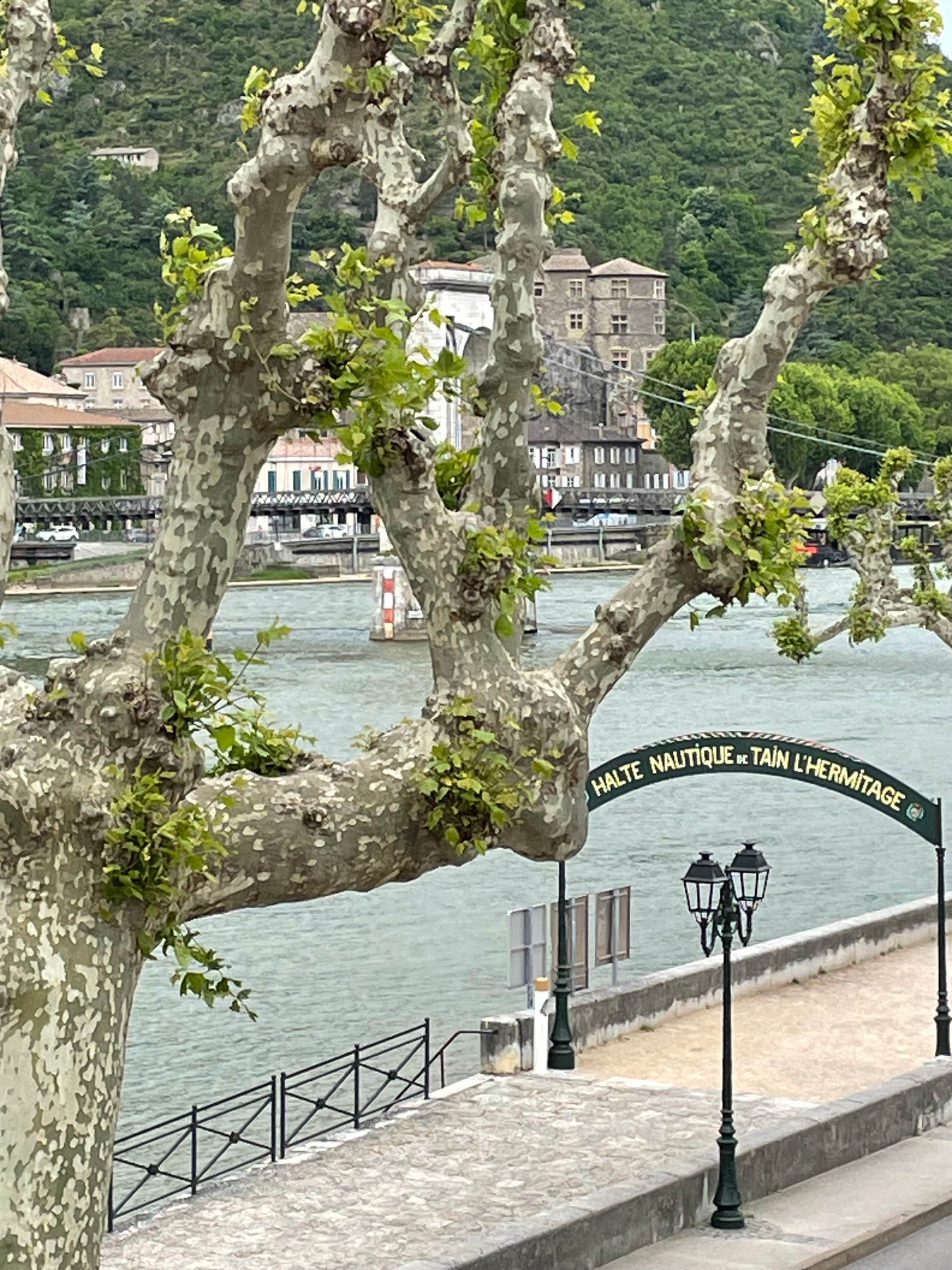 Enseigne de la halte nautique de Tain-l'Hermitage, platanes, Rhône et château de Tournon