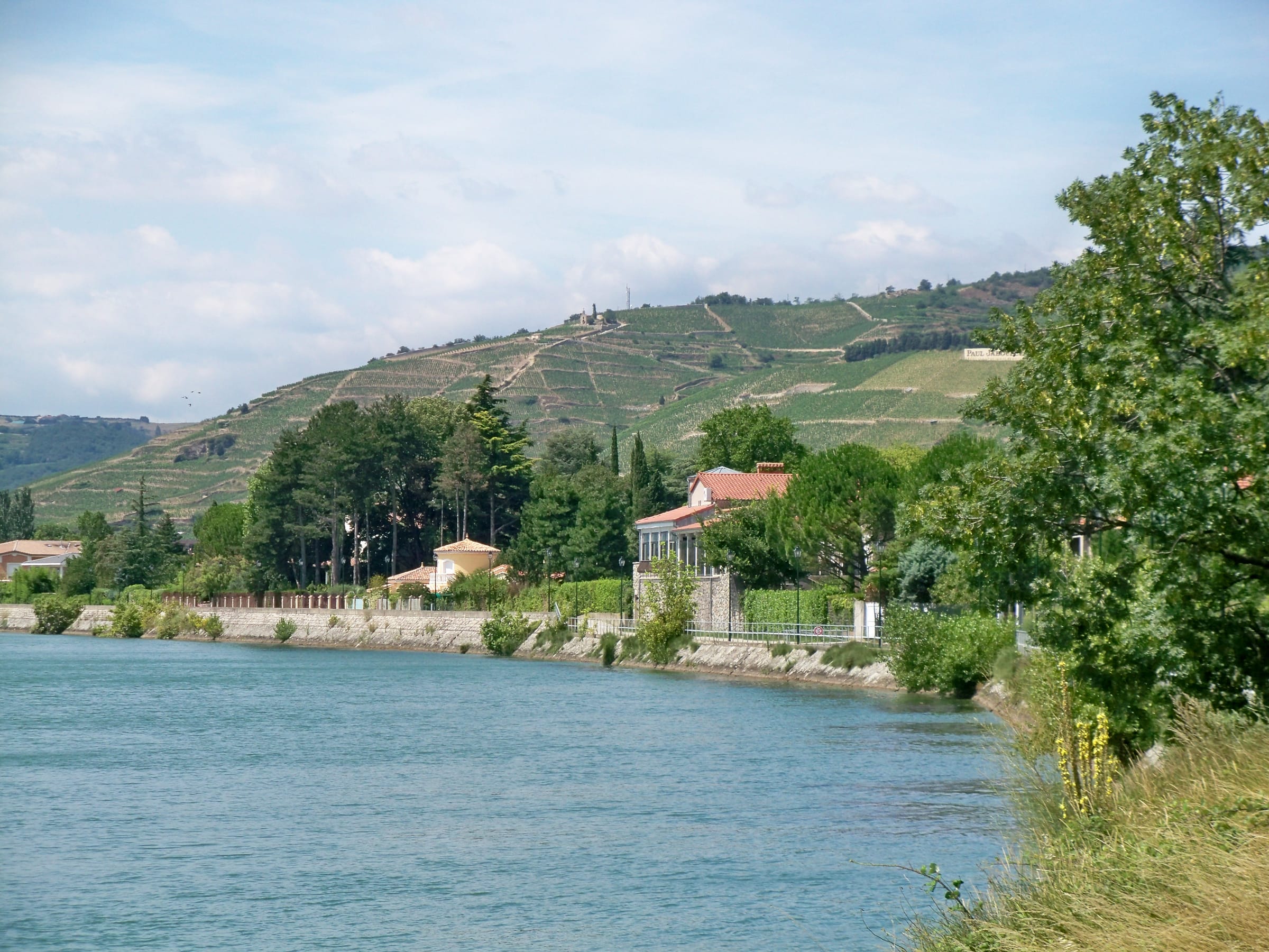 Le Rhône à Tain-l'Hermitage et les vignes de l'Hermitage en terrasses au-dessus des quais
